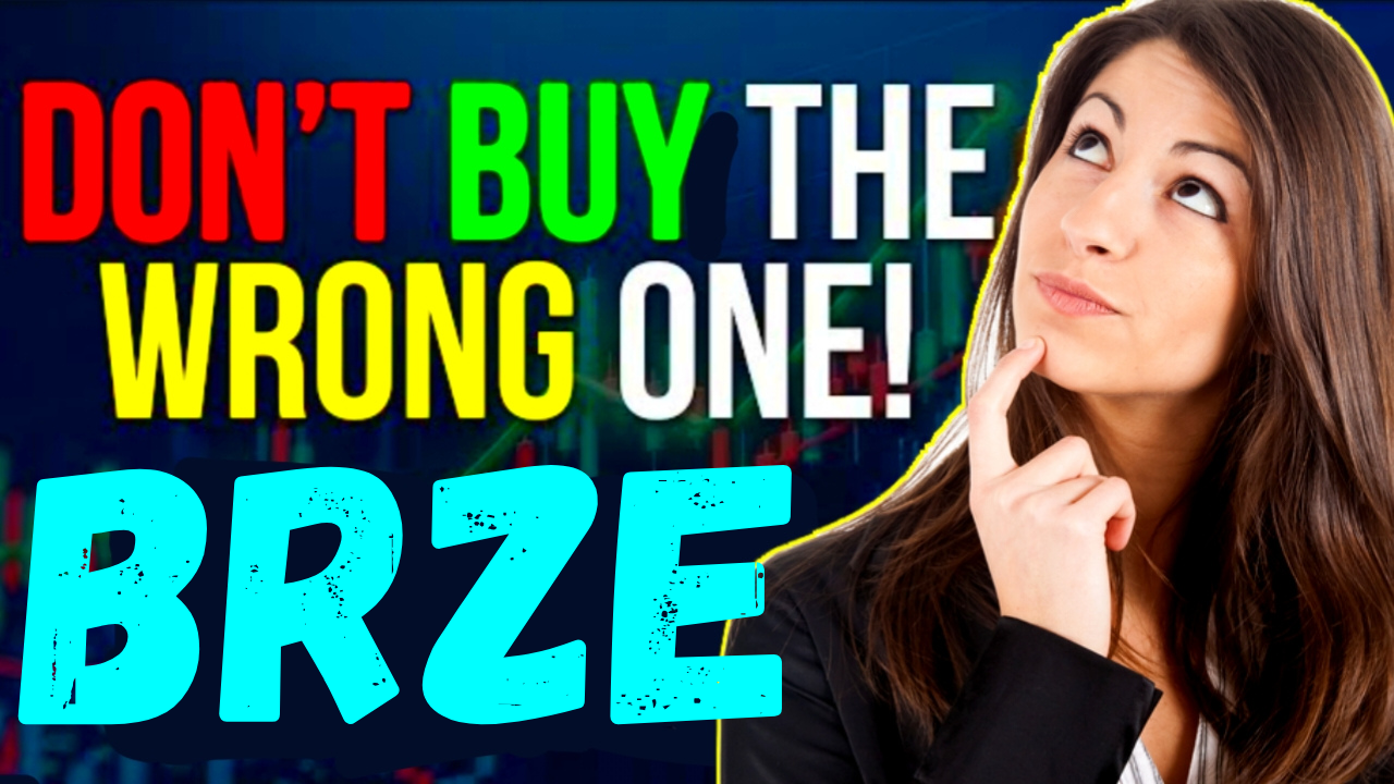 BRZE Stock Forecast: Recovery Ahead in 2026?