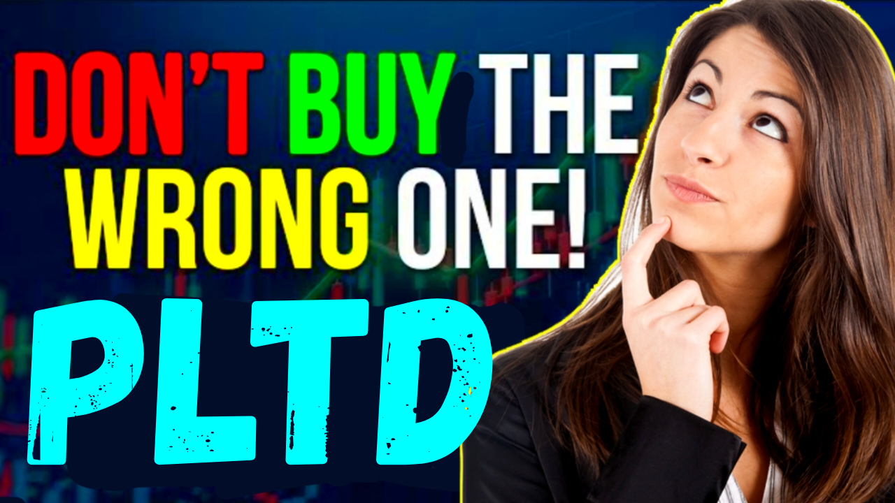 PLTD ETF Forecast 2026: Bearish Trends Ahead